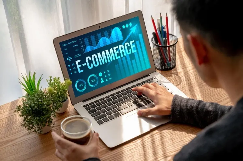Ecommerce Web Development
