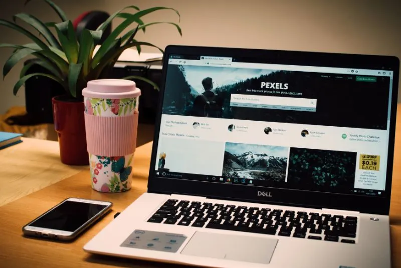 website development in Lynnwood